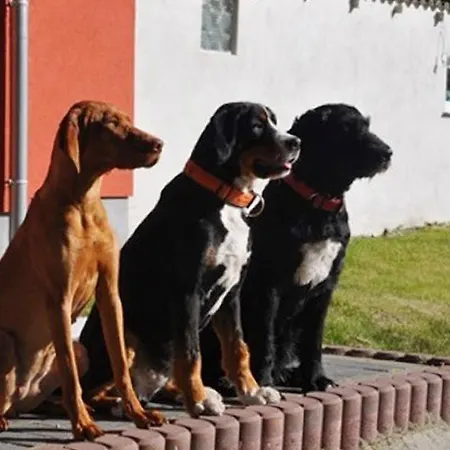 Waldhaus I Haushälfte Trassenheide