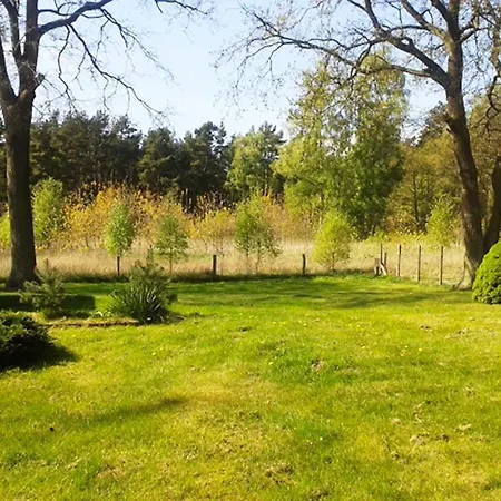 Waldhaus I Haushälfte * Trassenheide