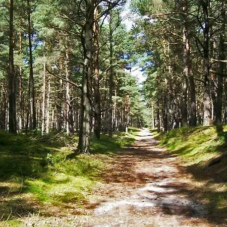 Apartment Waldhaus I Haushälfte